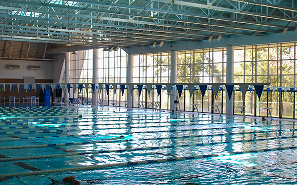 A image of the pool and the giant window letting natural light flood in.