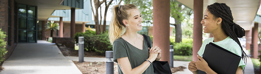 Students chat under the Canto al Sol archway on the Pensacola campus.
