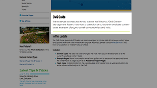 Screenshot of a header one and grey teaser text representing page title and teaser for a page