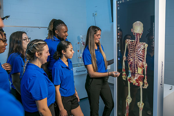 UWF students use the Anatomage virtual cadaver tables during a class.