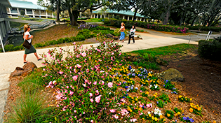 20110323_spring-campus-beauty_26