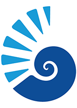 Nautilus Shell graphic