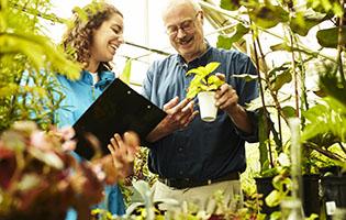 greenhouse