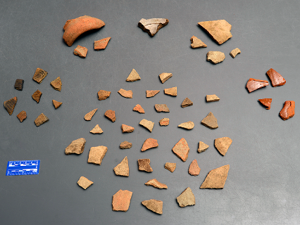 pottery sherds with scale