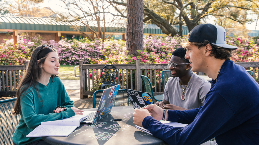 Three students around table outside in the camelia garden on campus studying