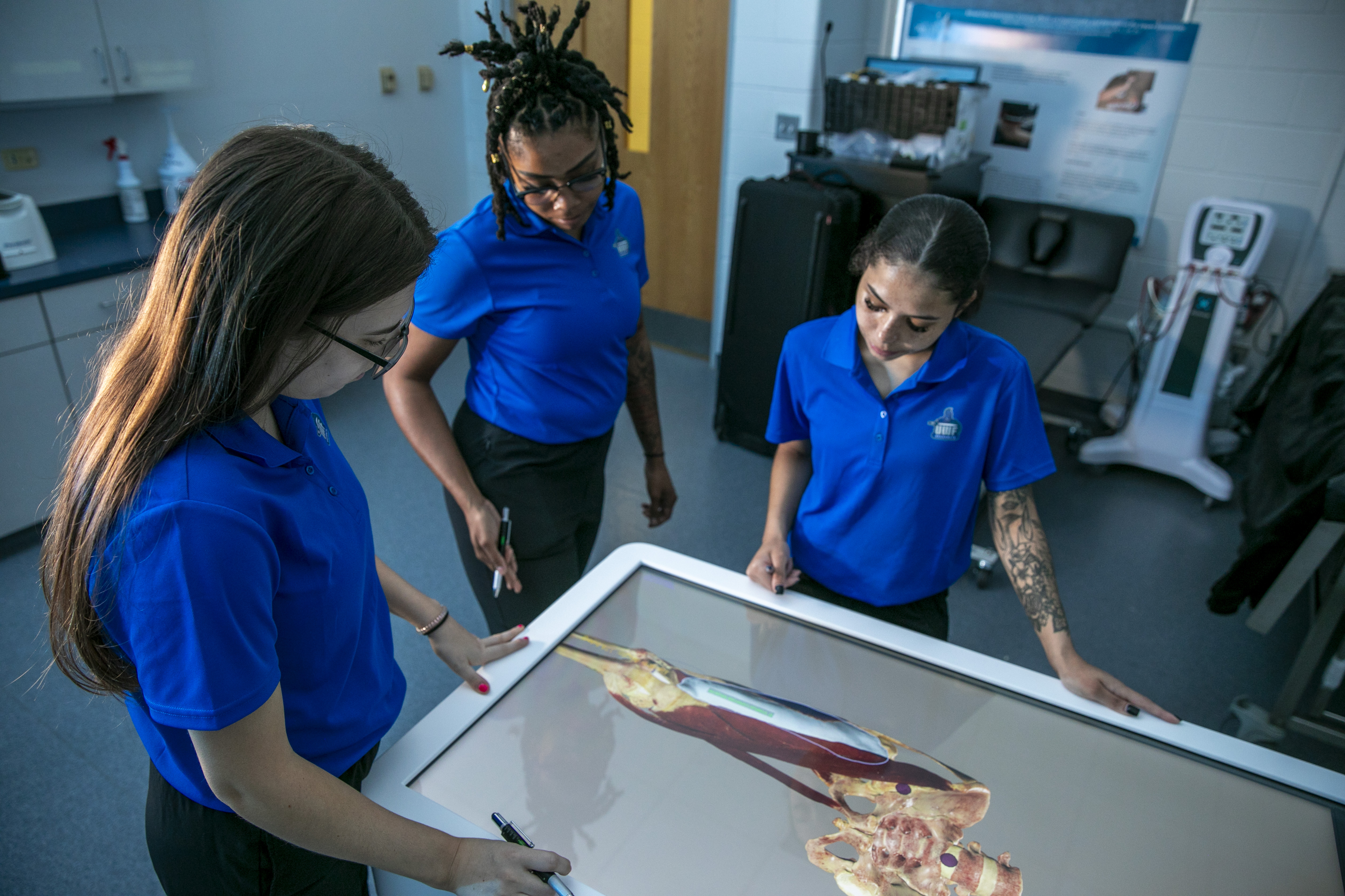 Three students using the Anatomage