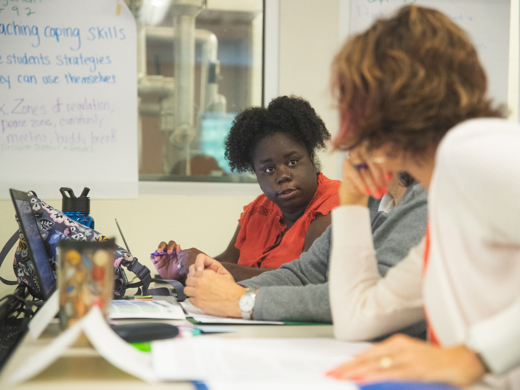 Several teachers discuss UDL at a professional development meeting