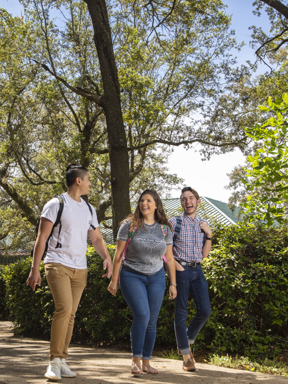 Three students walking on a path surrounded by trees.