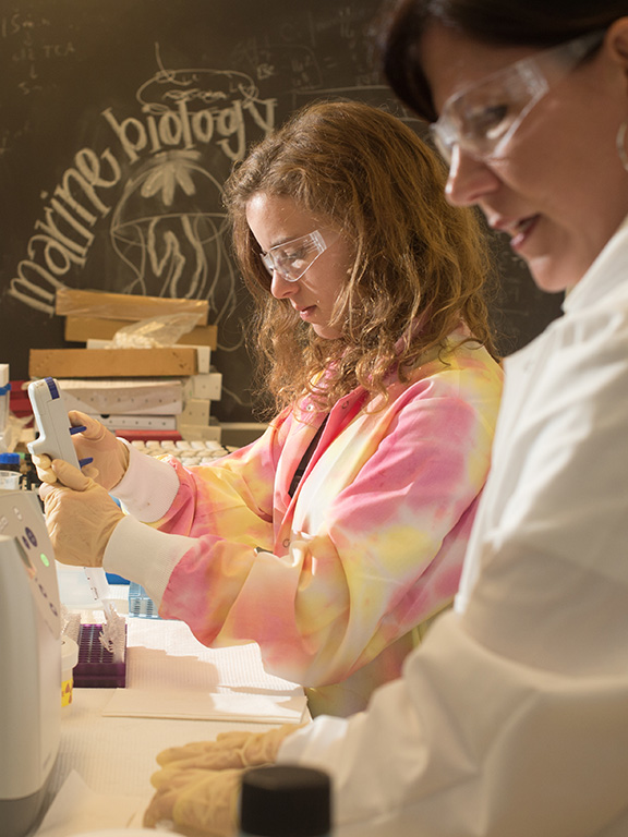 Marine biology professor and student processing samples of seawater testing for toxicity in a lab.