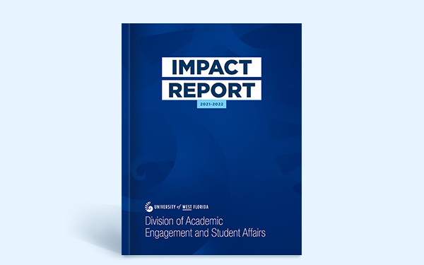 Impact Report Mockup of Cover