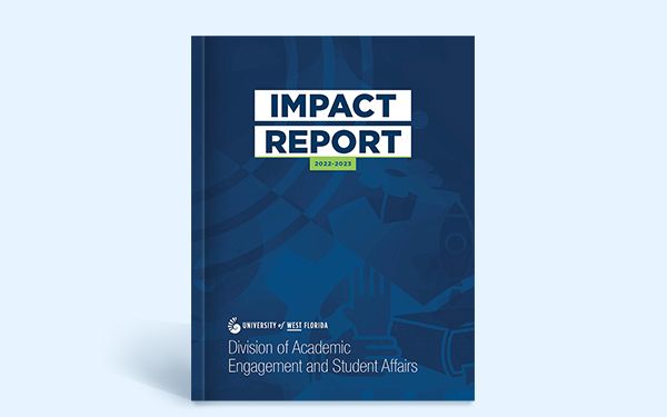 Impact Report Mockup of Cover