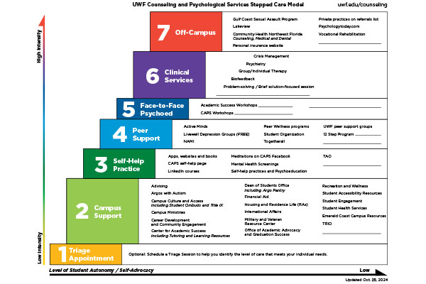 Stepped Care Model 2024