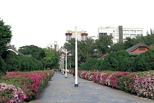Tamkang University Campus Walkway