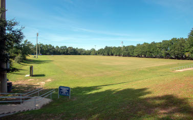 University Park: Column Picture