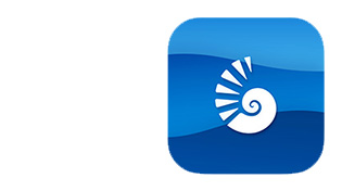 Argo Pulse graphic featuring a shell on a wave blue background