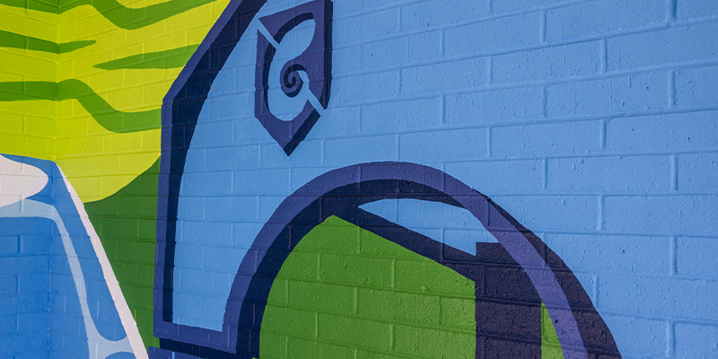 Mural with nautilus shell and green back drop