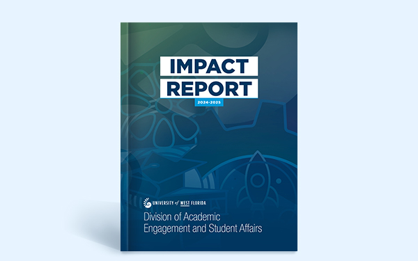 Impact Report Mockup of Cover 2024-2025