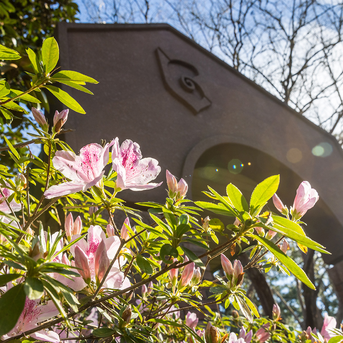 Flowers bloom in front of the Canto al Sol archway with nautilus shell and lens flare from the sun.