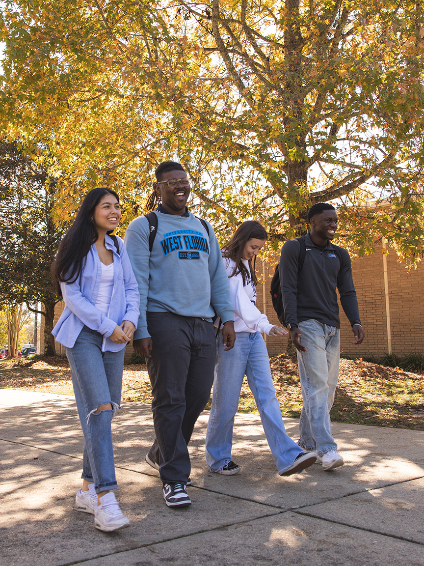 Four students walk on a campus path by a tree with yellow leaves.