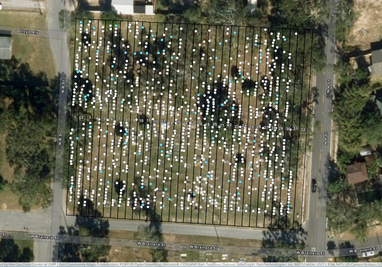 A.M.E. Zion and Magnolia Cemeteries GIS Documentation