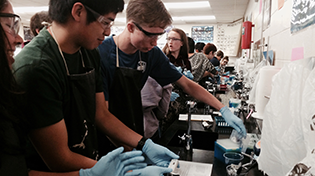 PHS-barcoding