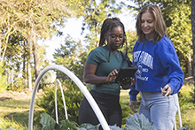 GIS faculty with student collecting data in the community garden