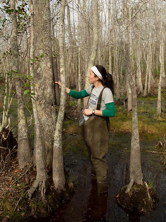 Reena Torrance checks a pvc pipe for organisms during a Herpetological Survey across from Beaver Pond
