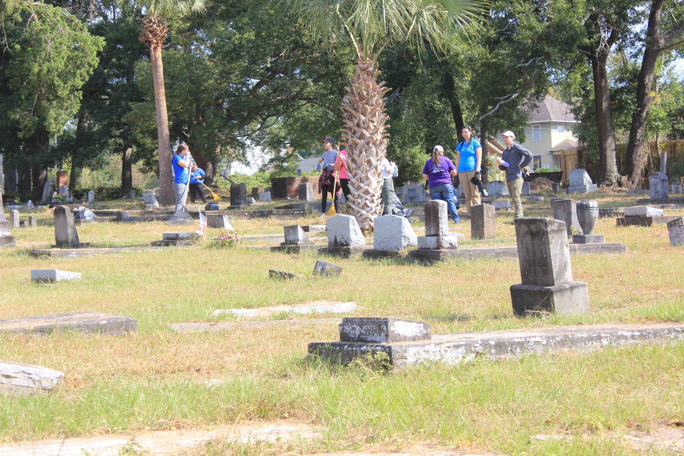 Students from UWF work in the background cleaning up a cemetery. Numerous headstones can be seen in the foreground of the shot.