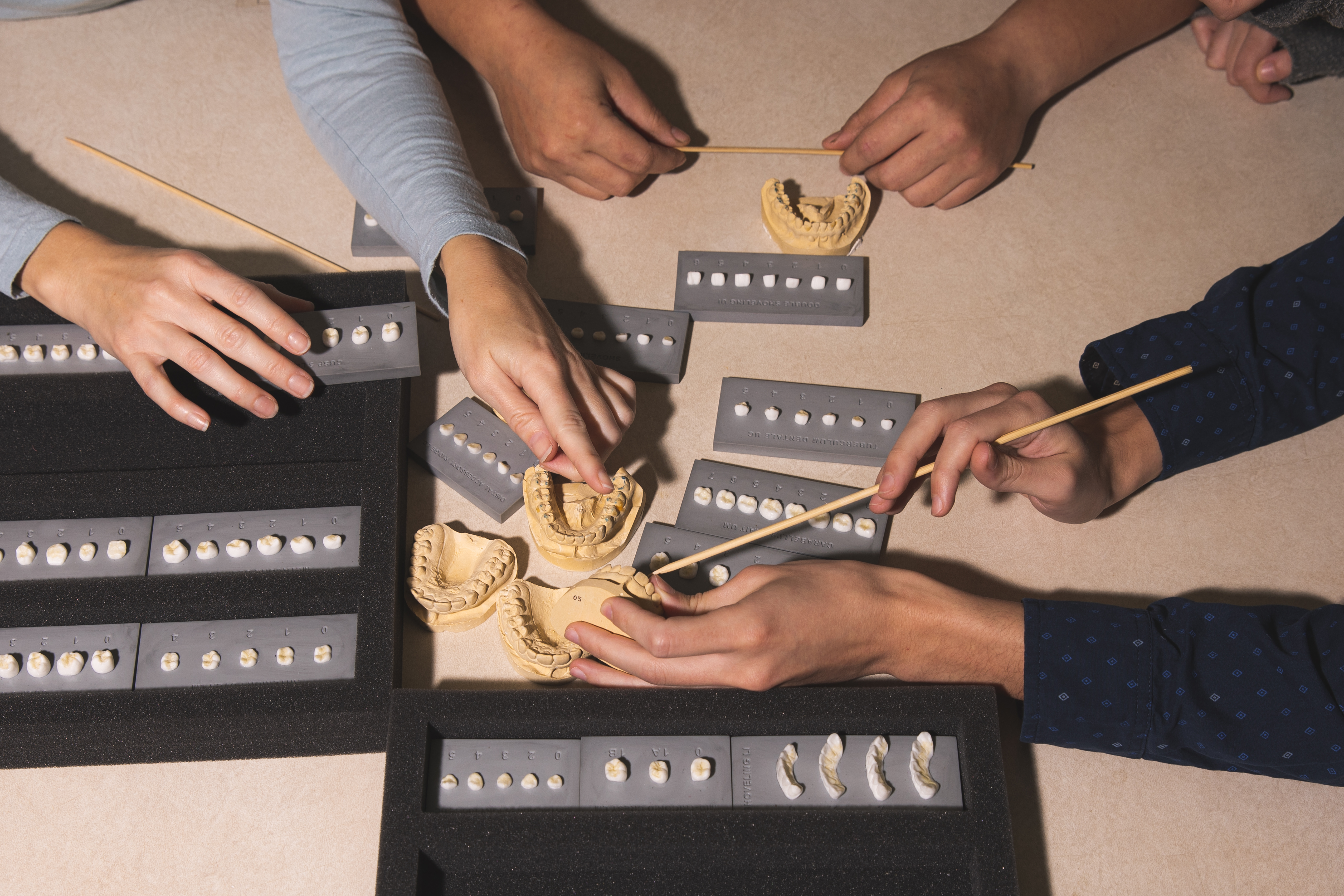 a group of hands are show examining several sets of teeth