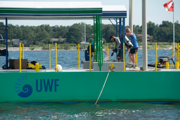 Scuba divers getting ready for a dive on a UWF dive platform in the water.