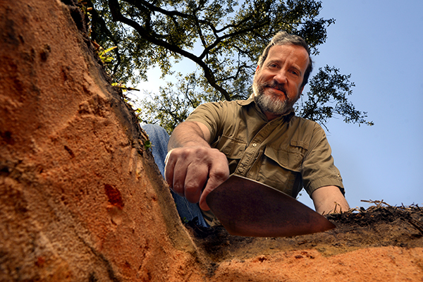 dr john worth looking down into a dig site