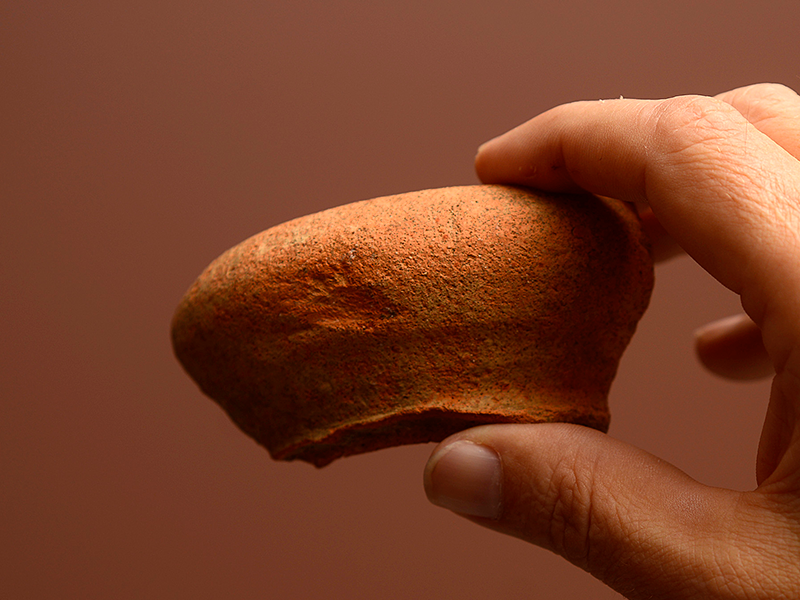 olive jar neck sherd