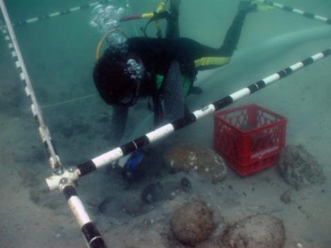 A scuba diver conducts an archaeological excavation on a sandy seabed. The diver is positioned within a square PVC survey grid marked with black and white stripes, using a suction hose near a red plastic milk crate used for collecting artifacts.