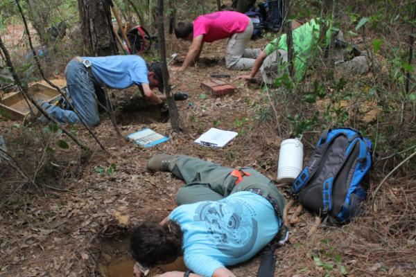Archaeology students excavate small shovel test units