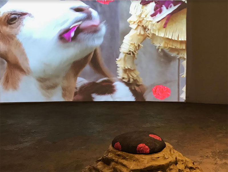 Photo of Exhibition by Carrie Fonder