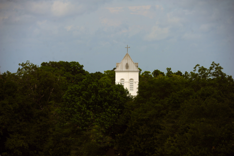 The steeple of Old Christ Church, Pensacola peeking out of the trees.