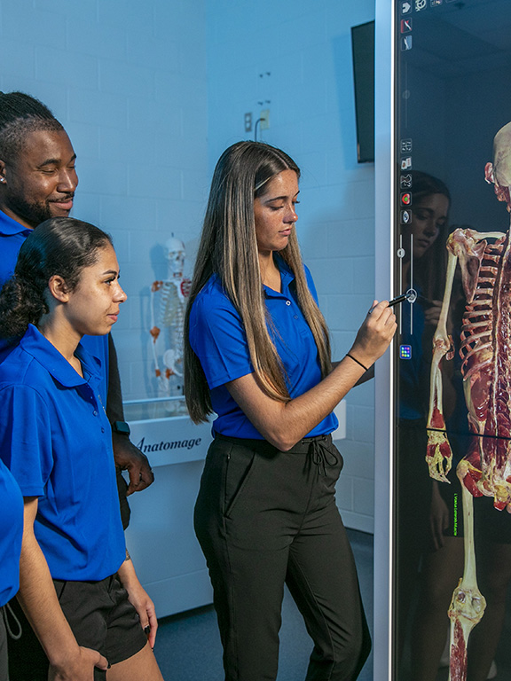 Three students using an Anatomage virtual cadaver table.