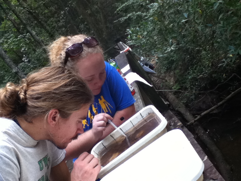 Deidra Krolikowski and  Peter Tereszkiewicz, BioBlitz 2014
