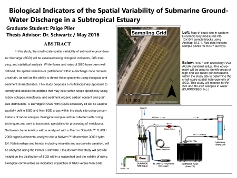 Thumbnail of Plier's poster