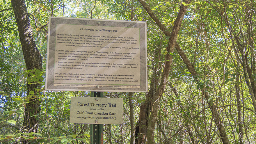 A couple Forest Therapy signs posted on a metal in front of trees.