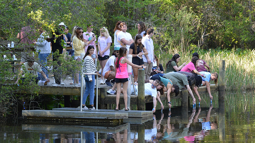 A class of two dozen or so students outdoors on a dock in the bayou collecting water samples.