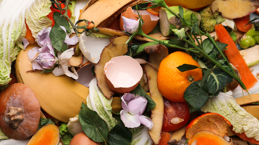 discards of prepared foods, eggshells, veggies, etc.
