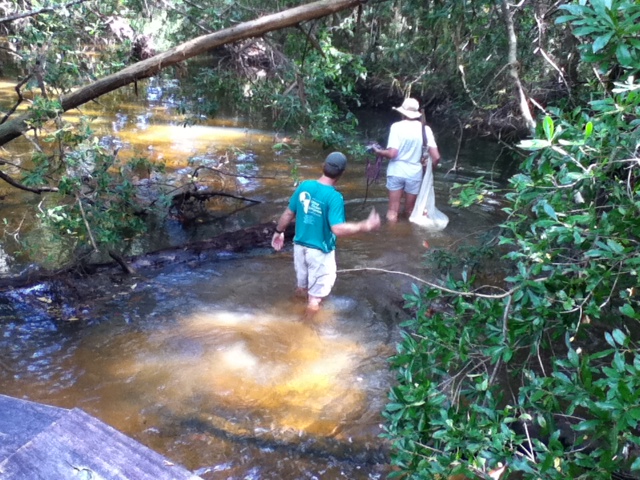 Surveyors in Thompson Bayou
