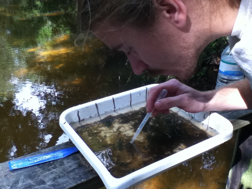 Peter Tereszkiewicz, BioBlitz 2014
