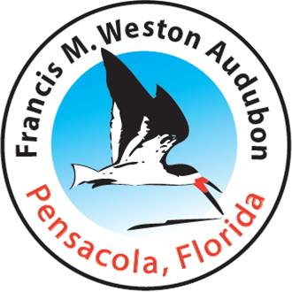 Logo for Audubon, BioBlitz Partner