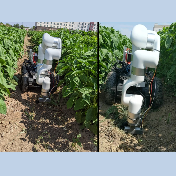 multi-robot monitoring system in a garden