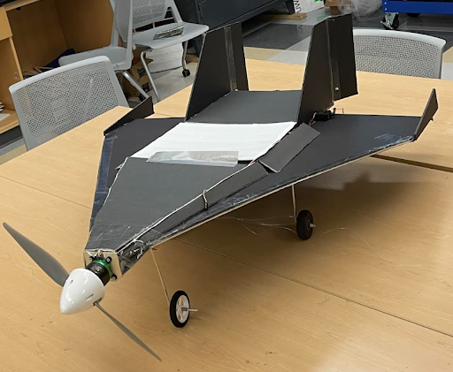 Cropped Delta-Wing Prototype Left Facing