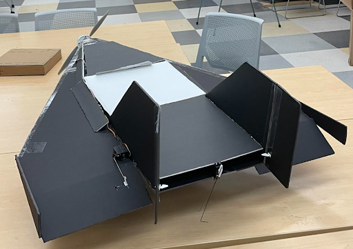 Cropped Delta-Wing Prototype Back Facing