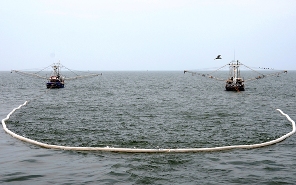 Accessing Impact Deep Horizon