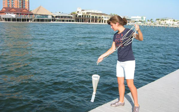 Caffery seagrass 4 - sampling sediment